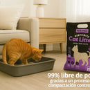 Arena Gatos Premium Control Olor Doble Aroma Talco Bebé 25kg