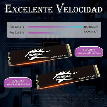 Hd Ssd M.2 2280 PUSKILL 256 GB NVMe PCIe 3.0x4 PSK-M2SSDP34-256g