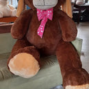 Perro Gigante De 2 Metros + Envio+ Perfumado + Moño Regalo