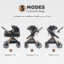 Cochecito 2 En 1 Accombe Convertible Todo Terreno Con Moises Gold