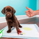 Pañales Entrenadores Para Perro Pads Desechables Mascotas Azul