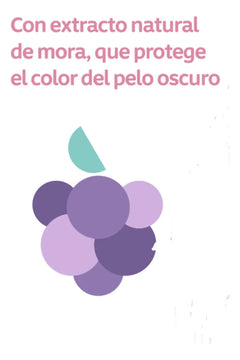 Shampo Johnson's Baby Cabello Oscuro X 1l
