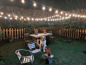 Guirnalda Extensión Luces Led Exterior 7,6m 25 Bombillos Amarillo