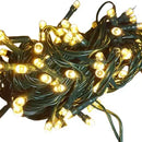 Serie Navideña Luz Led Calida X100 Luces Cable Verde Paq. X1