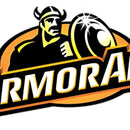 Limpia Vidrios Armorall 650ml