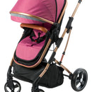 Coche Bebé Moises Plegable Ebaby Color Rosado Chasis Dorado