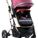 Coche Bebé Moises Plegable Ebaby Color Rosado Chasis Dorado