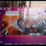 Televisor Sankey 24 Pulgadas Smar Tv