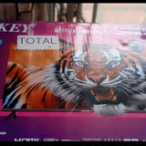 Televisor Sankey 24 Pulgadas Smar Tv