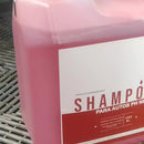 Shampoo Ph Neutro Concentrado Autobrillante Carros Motos 4 litros