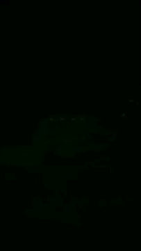 Luces Navideñas 50 Led Globos Solar Navidad Guirnalda 8 Modo Amarillo Cálido
