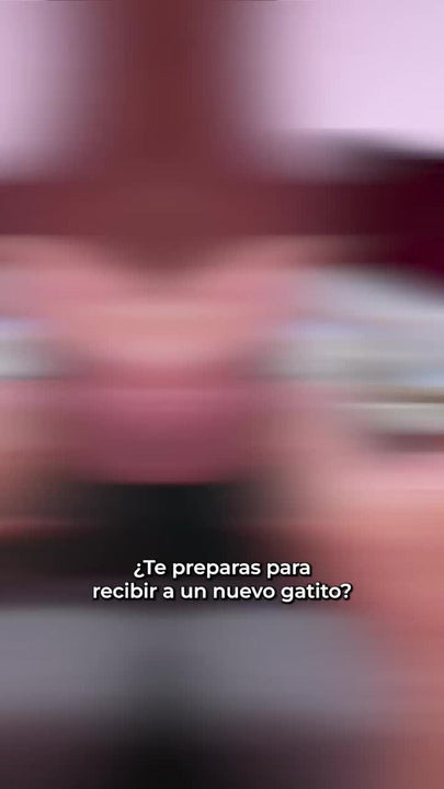 Comedero Plato Para Perros Y Gatos En Acero Inoxidable 22cm Color Plateado