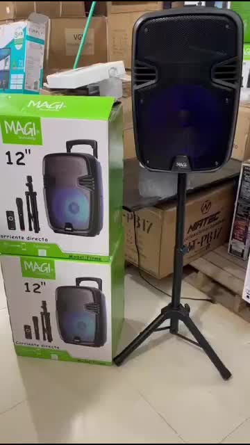 Parlante 12 Pulgada Magi C/directa/recargable Base+microfono Negro