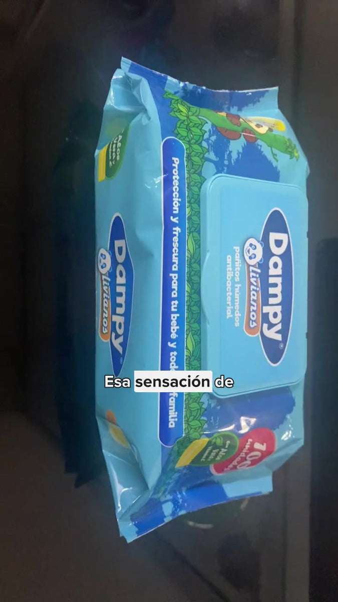 Pañitos Húmedas Dampy X100