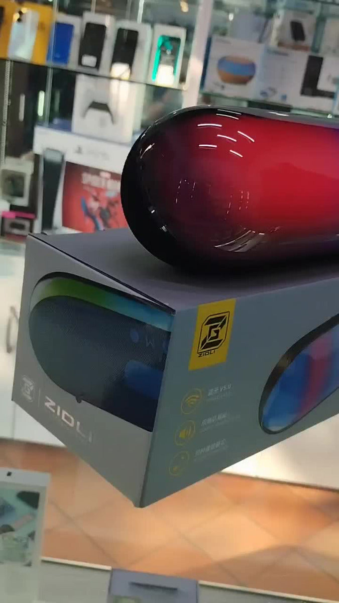 Parlante Bluetooth 10w Zidli - D2 Negro
