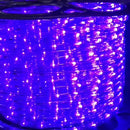 Manguera Led 3 Vias Luces Navideñas X 10mt Morada