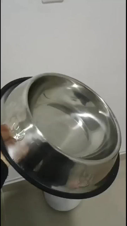 Comedero Plato Para Perros Y Gatos En Acero Inoxidable 22cm Color Plateado