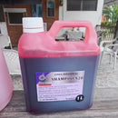 Litro De Shampoo X20 Ph Neutro Concentrado Rinde 40 Veces