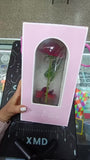 Rosa Eterna Roja Luz Led Alumbra Regalo Detalles Mujer Rojo