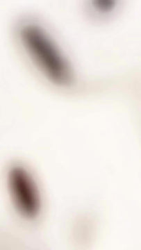 Audífonos 4ta Gen Compatible Con Iphone Y Android Premium Blanco