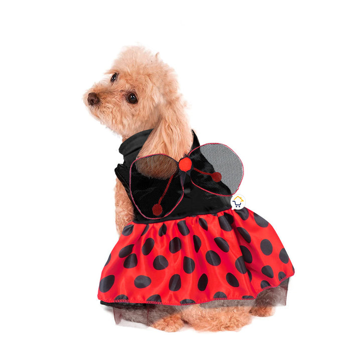 Disfraz Perro Gato Mascotas Mariquita Halloween GY002MR