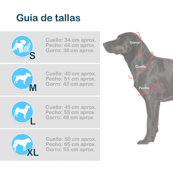 Disfraz Perro Gato Mascotas Mariquita Halloween GY002MR