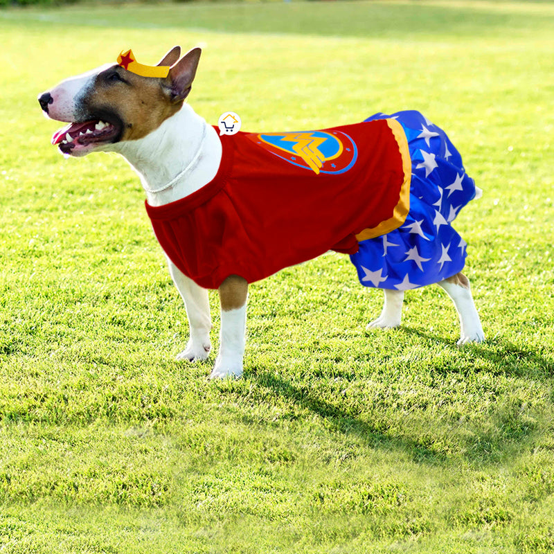 Disfraz Perro Gato Mascotas Superhéroe Halloween GY003MMA