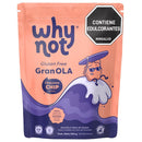 GRANOLA WHY NOT 300G CHIPS DE CHOCOLATE