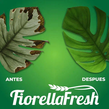 Fiorellafresh™ - Fertilizante orgánico en tableta