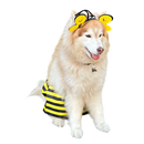 Disfraz Para Mascota De Abeja Halloween OF-1511APET