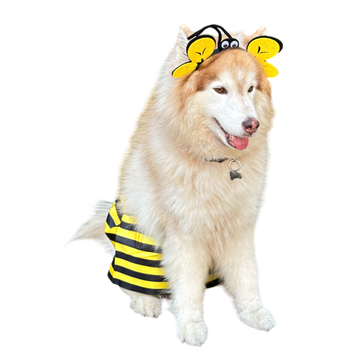 Disfraz Para Mascota De Abeja Halloween OF-1511APET