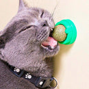 Juguete Para Gatos Anti Estrés Bola Giratoria Hierba Gatera Catnip AHY03