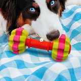 Juguete Para Morder Texturizado Perros Didáctico Mascotas AG2212190