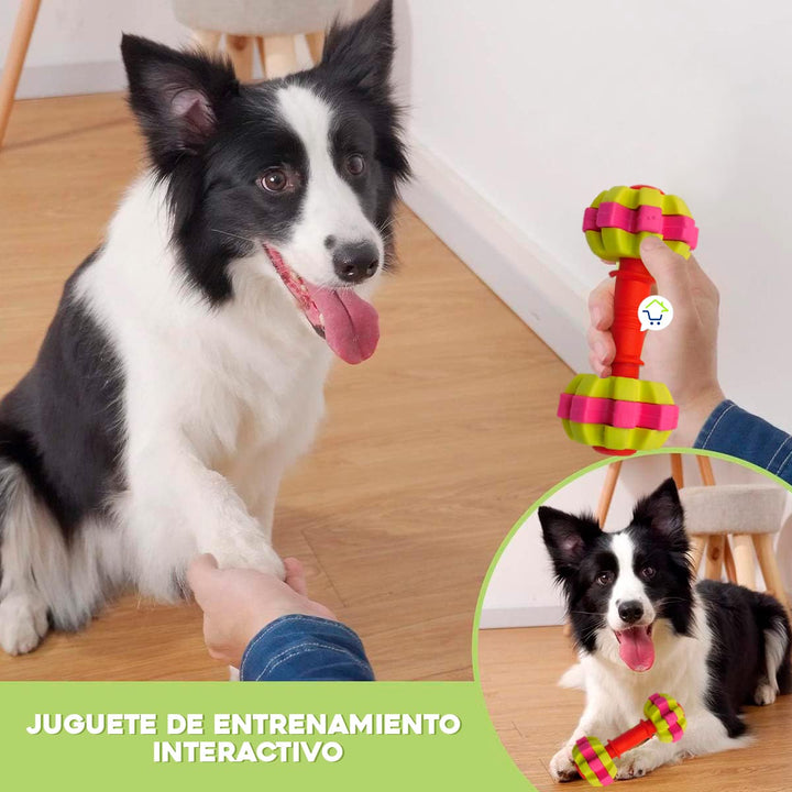 Juguete Para Morder Texturizado Perros Didáctico Mascotas AG2212190