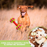 Juguete Para Morder Texturizado Perros Didáctico Mascotas AG2212190