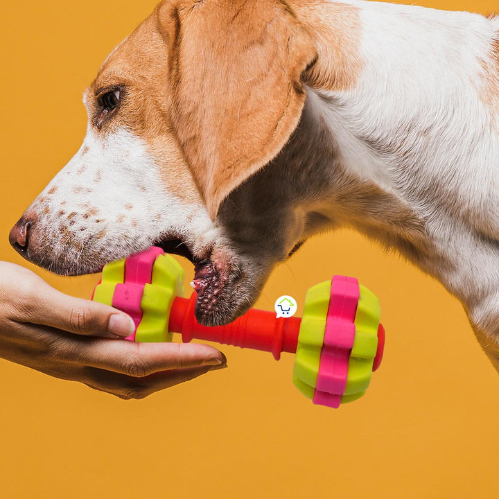 Juguete Para Morder Texturizado Perros Didáctico Mascotas AG2212190