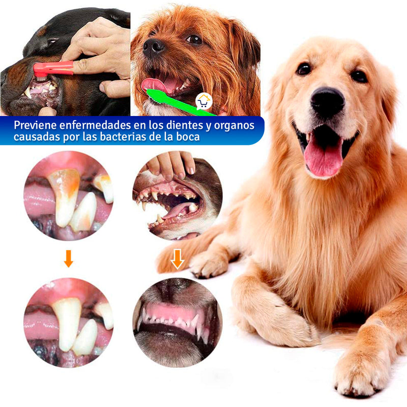 Kit Crema Dental Cepillo De Dientes Mascotas Ag1905053