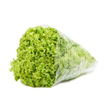 LECHUGA CRESPA HORTIFRESCO 200G BOLSA
