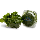 LECHUGA HORTIFRESCO 130G LISA PET