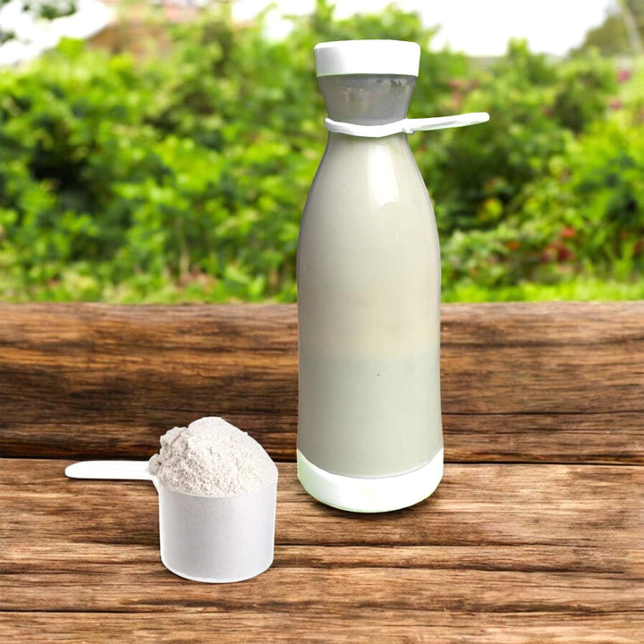 Termo Batidor Eléctrico Personal Recargable Portable DM518