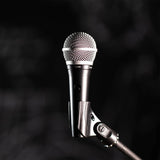 Micrófono Vocal Alámbrico Dinámico Profesional Karaoke PGA48