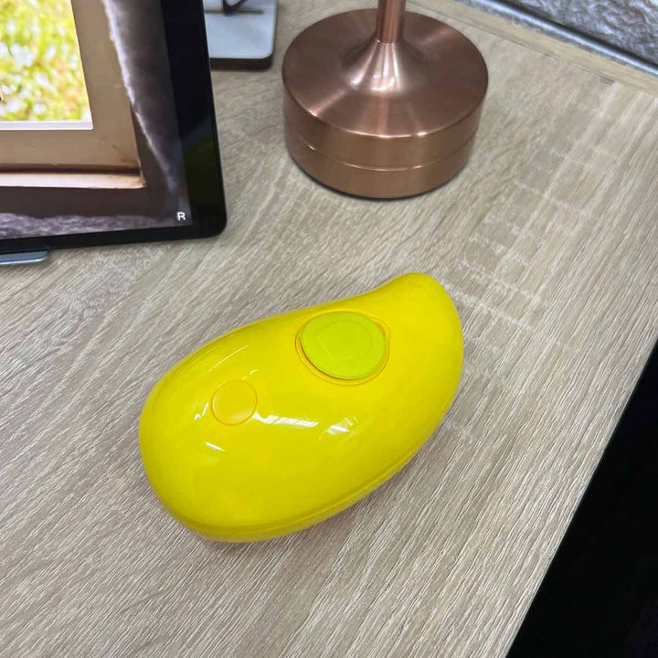 Cepillo De Vapor Masajeador Quita Pelos Vaporizador Para Mascotas JL02