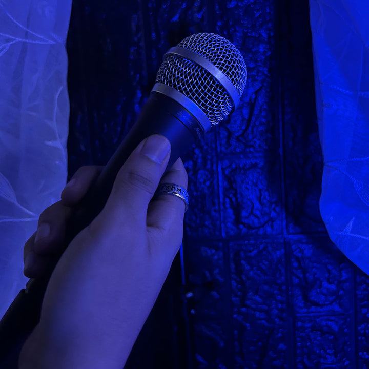 Micrófono Vocal Alámbrico Dinámico Profesional Karaoke PGA48