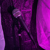 Micrófono Vocal Alámbrico Dinámico Profesional Karaoke PGA48