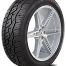 NITTO 420V 305/45R22 118H