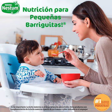 NESTUM CEREAL INFANTIL TRIGO MIEL X350 GR NESTLE