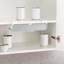 Organizador de Condimentos Especiero Soporte Especias Repisa 3013CO