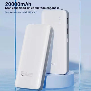Cargador Power Bank De 20.000 mAh PZX C147