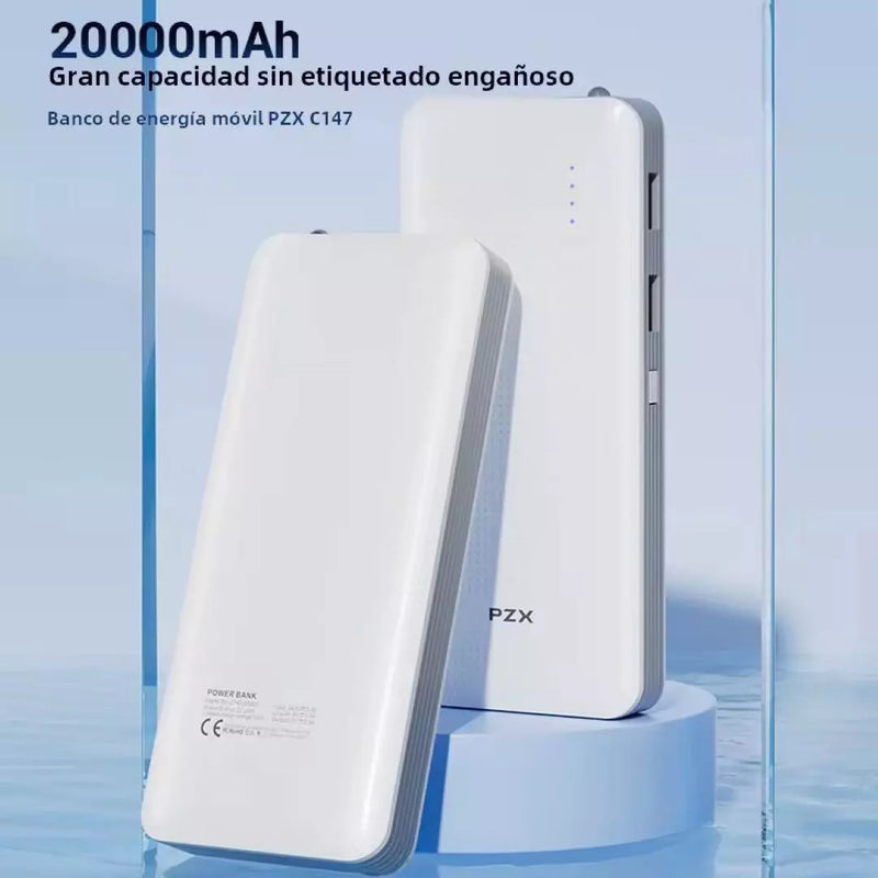 Cargador Power Bank De 20.000 mAh PZX C147