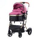 COCHE CUNA MOISES SATURNO EB126 ROSADO EBABY